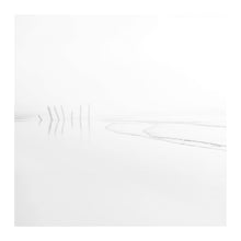 Load image into Gallery viewer, White poles, St Clair Beach