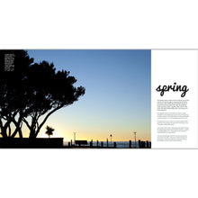 Load image into Gallery viewer, Dunedin Light Seasons