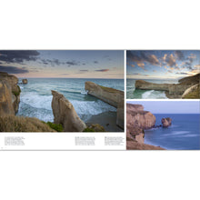 Load image into Gallery viewer, Dunedin Light Seasons