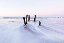 Load image into Gallery viewer, Wispy poles, St Clair, Dunedin, New Zealand
